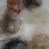 Hair_nets_farger.jpg