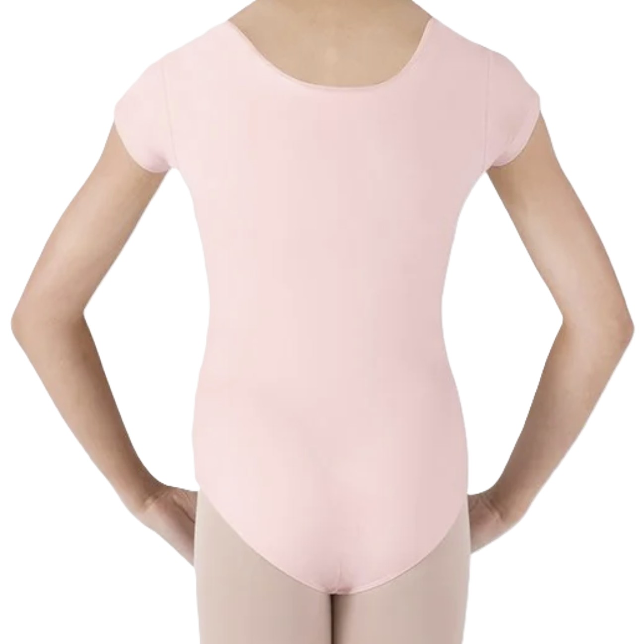 CL5602 rosa bak CL5602 rosa bak